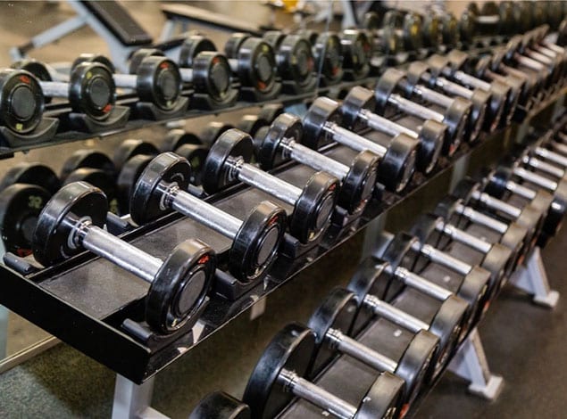 rows of free weights in a modern gym.